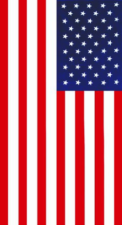 Dohler Beach Towel, American Flag