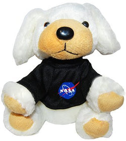 Collection of Soft Cute Plush from Cities and States Across The Country (NASA)