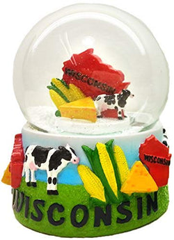 CityDreamShop State of Wisconsin Large 65mm Souvenir Collectible Snow Globe