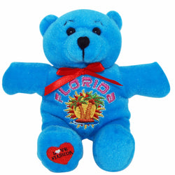 Blue bright cute florida teddy bear