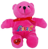 pink  bright cute florida teddy bear 