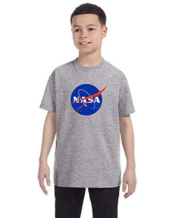 NASA Meatball Logo Youth Shirt Space Shuttle Rocket Science Geek Boys Kids GirlsTee (Large, Gray)