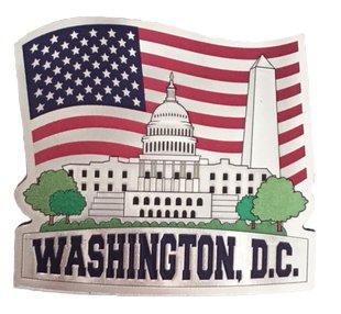 Patriotic White House Souvenir Magnet Featuring Washington D.C. and The American Flag