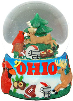Collection of City and States Detailed 65mm Snow Globes (Ohio)