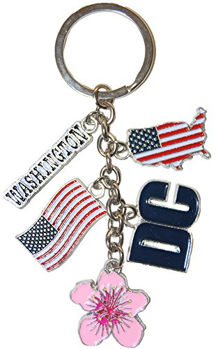 Washington D.C. and American Flag Patriotic 5 Charm Keychain