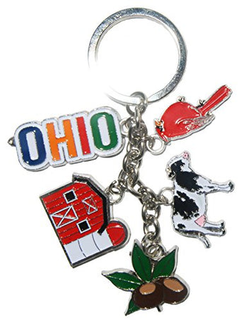 State of Ohio 5 Charm Keychain Featuring Charms of Ohio