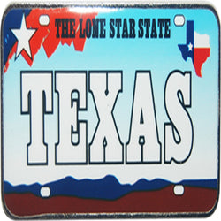 TEXAS LICENSE PLATE MAGNET