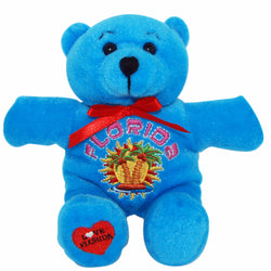Blue bright cute florida teddy bear 